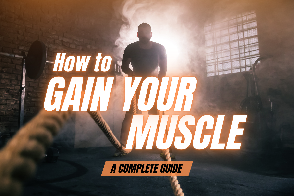 Read more about the article How to Gain Muscle− Your Complete Guide